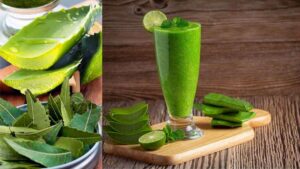neem and aloe vera juice benefits